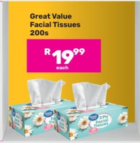 Great Value Facial Tissues 200s