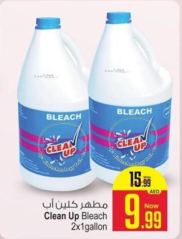 Clean Up Bleach 2x1 gallon