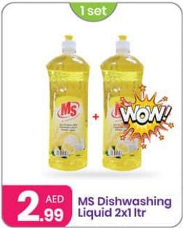 MS Dishwashing Liquid 2x1 ltr