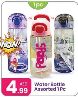 Water Bottle Assorted 1 Pc