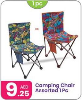 Camping Chair Assorted 1 Pc