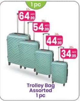 Trolley Bag Assorted 20 Inch