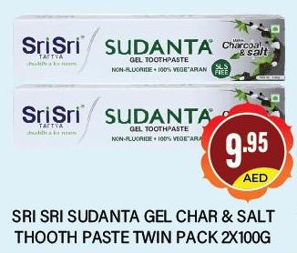 Sri Sri Sudanta Gel Char & Salt Toothpaste 2X100GM