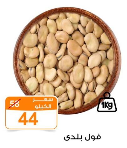 فول بلدي