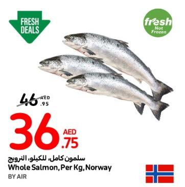 Whole Salmon, Per Kg, Norway