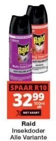 Raid Insecticide All Varieties 300ml