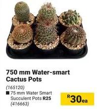 750 mm Water-smart Cactus Pots