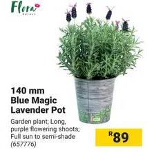 Flora 140 mm Blue Magic Lavender Pot