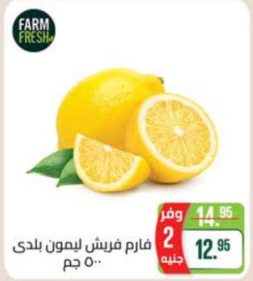 Fresh Farm Lemon