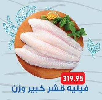 Large fillet fish