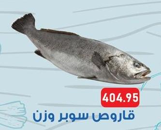 Karoos Fish-Fresh Per Kg 