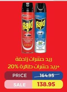 Raid Insect Killer Crawling + Fly 