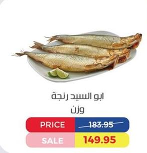 Fish, Abu Al-Sayed, Weight