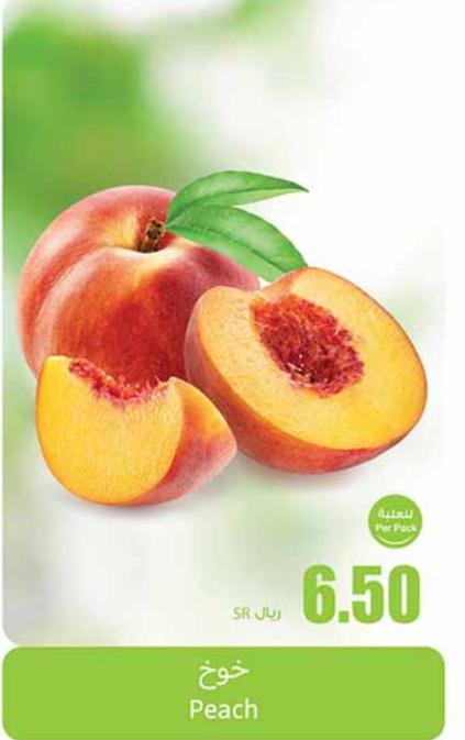 Peach 1PACK