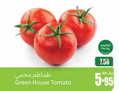 Green House Tomato PER KG