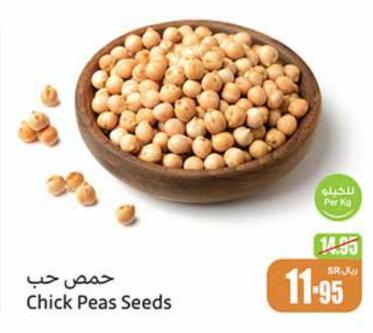 Chick Peas Seeds PER KG