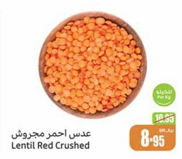 Lentil Red Crushed Per Kg 