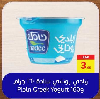 Nadec Plain Greek Yogurt 160 Gm