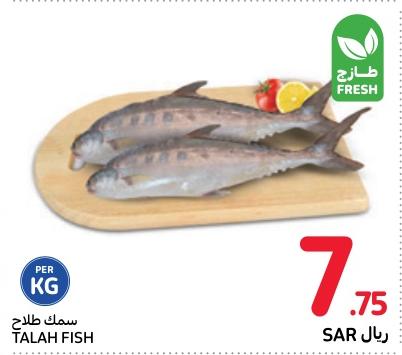 Talah Fish KG