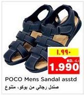 POCO Mens Sandal assorted