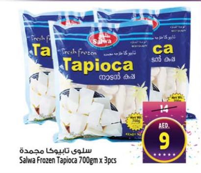 Salwa Frozen Tapioca 700gm x 3pcs