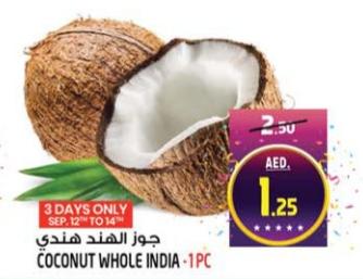 Coconut Whole India - 1 PC