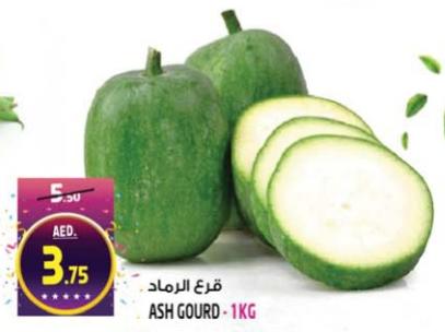 Ash Gourd - 1KG