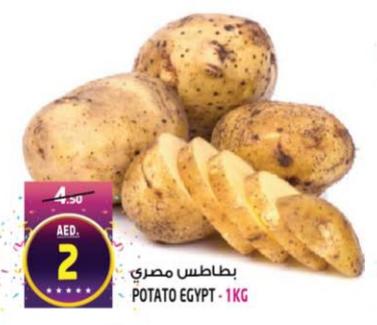 Potato Egypt - 1KG