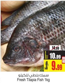 Fresh Tilapia Fish 1Kg