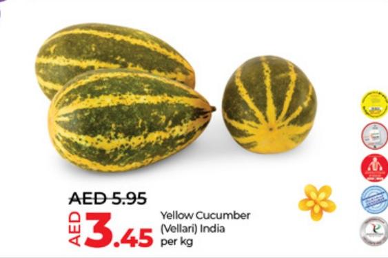 Yellow Cucumber (Vellari) India