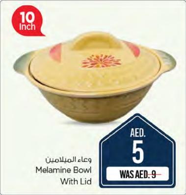 Melamine Bowl with Lid