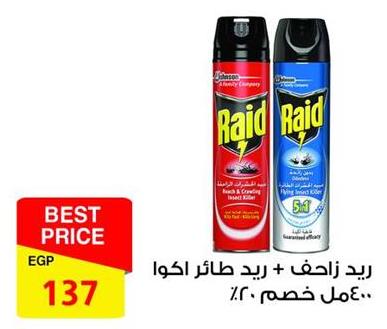 Raid Insect Killer + Raid Crawling Insect Killer