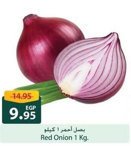 Red Onion 1 Kg.