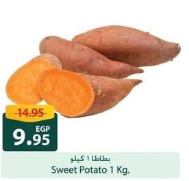 Sweet Potato 1 Kg.