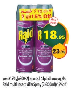 Raid multi insect killer Spray (2x300ml)+15% off