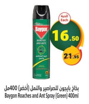 Baygon Roaches and Ant Spray (Green) 400ml