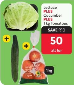 Lettuce PLUS Cucumber PLUS 1 kg Tomatoes