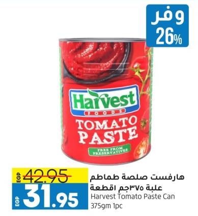 Harvest Tomato Paste Can 375gm