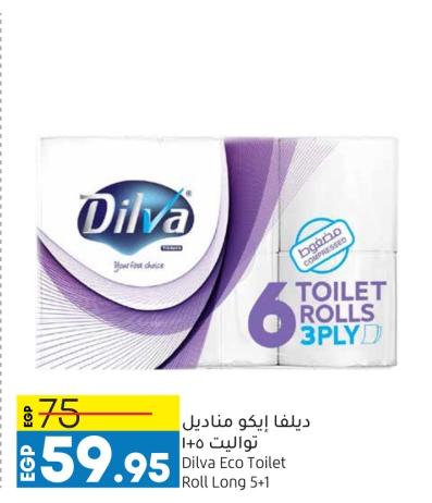 Dilva Eco Toilet Roll Long 5+1