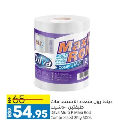 Dilva Multi P Maxi Roll Compressed 2Ply 500s