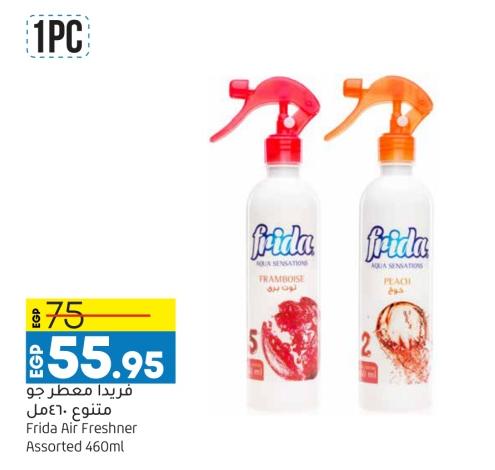 Frida Air Freshener Assorted 460ml