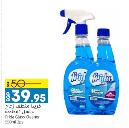 Frida Glass Cleaner 2x550ml