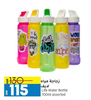 Life Water Bottle 700ml assorted