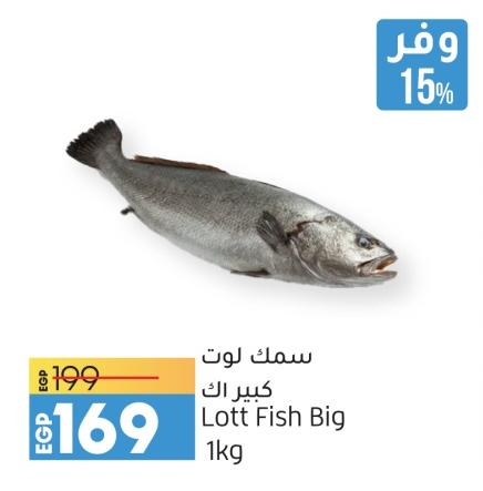 Lott Fish Big 1Kg