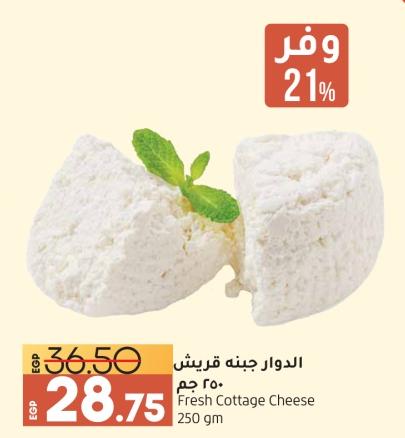 Fresh Cottage Cheese 250gm 