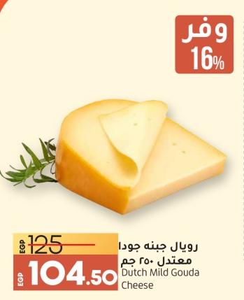 Dutch Mild Gouda Cheese