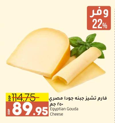 Egyptian Gouda Cheese