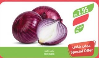 Red Onion 1 KG