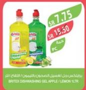 BRITEX DISH WASHING LIQUID / APPLE, 1LTR