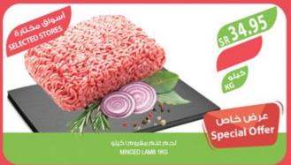 Minced Lamb KG